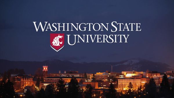 washington-state-university-scholarships