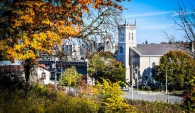 University of Guelph Acceptance Rate