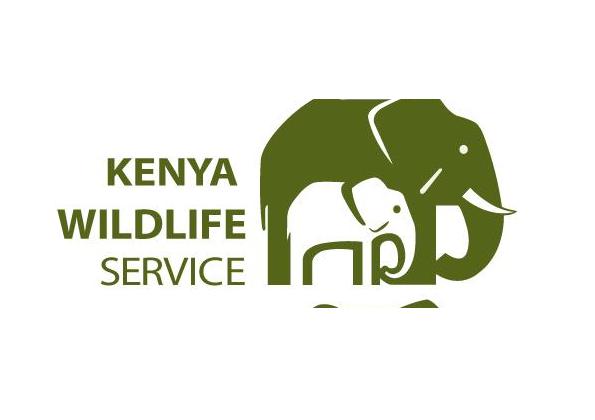 KWS Recruitment 2019