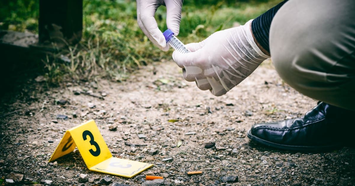 crime scene investigator education