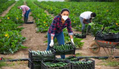 agriculture-schools-in-Canada