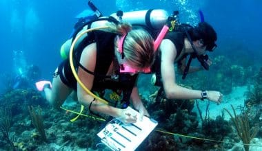 Marine-Science-Scholarships