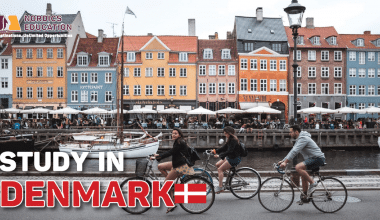 denmark scholarships