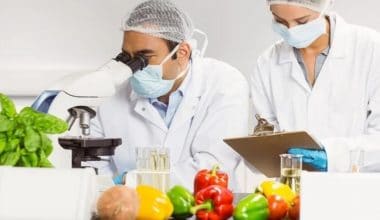 Food Science PhD Scholarships