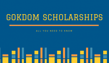 Gokdom Post Matric Scholarship