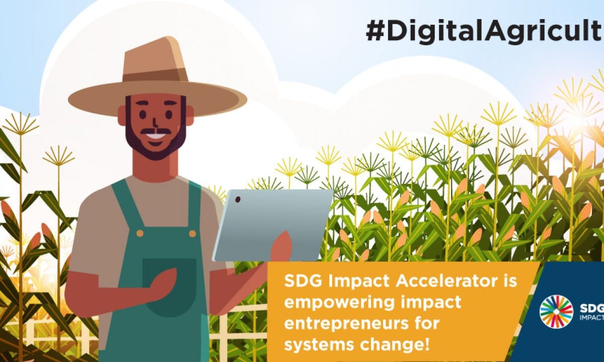 SDG-Impact-Accelerator-grant