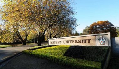 International Excellence Scholarship at University of Massey