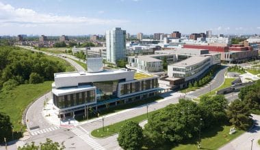 York University