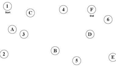 sage-test-online