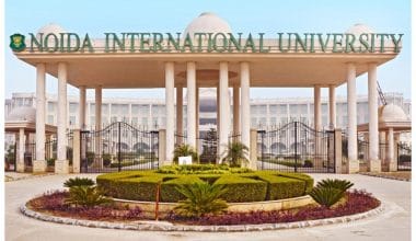 Noida international university scholarship