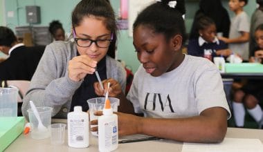 Harlem village academy charter school