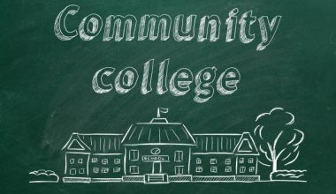 What is a community college?