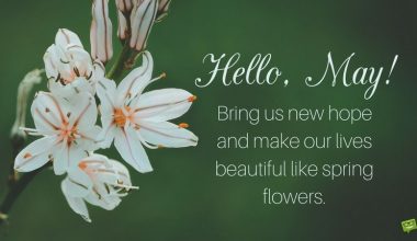 Hello May Quotes