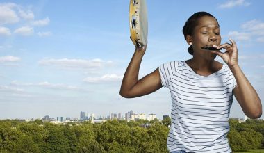 online-harmonica-classes