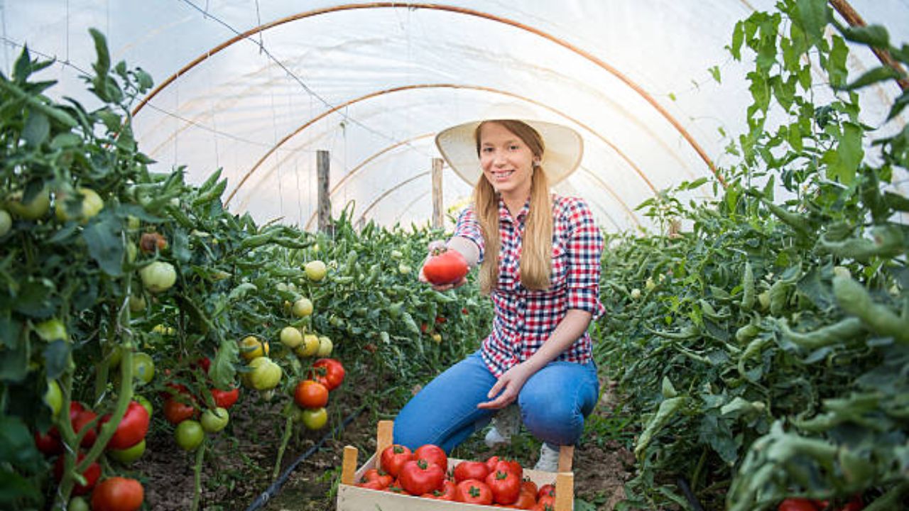 Top Farm Grants For Females