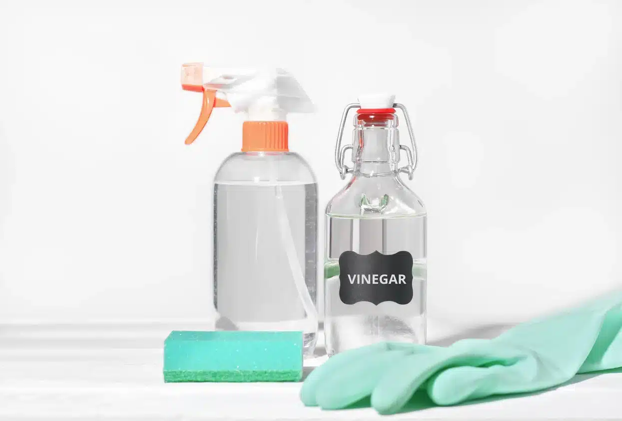 Cleaning Vinegar vs. White Vinegar