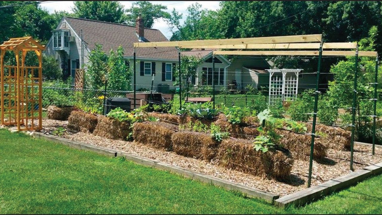 Straw Bale Gardening