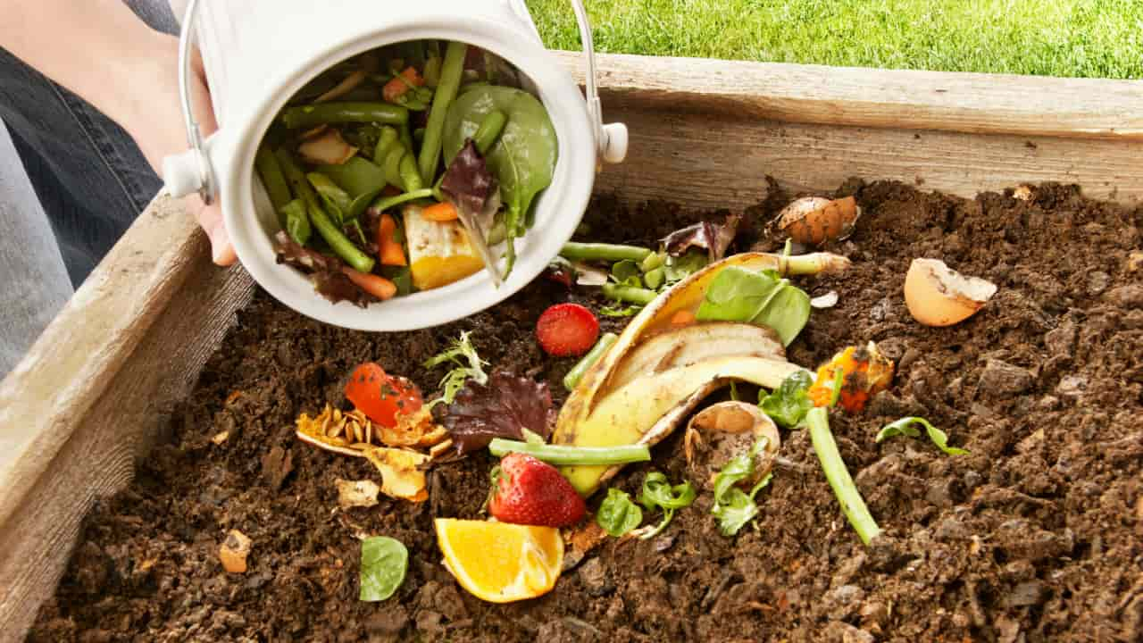 What is home Compost