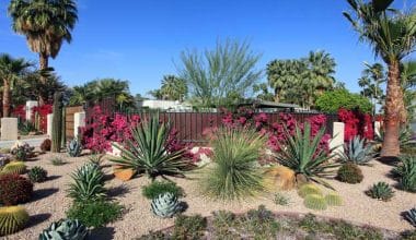 What is Xeriscaping