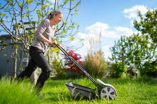 reel mowers